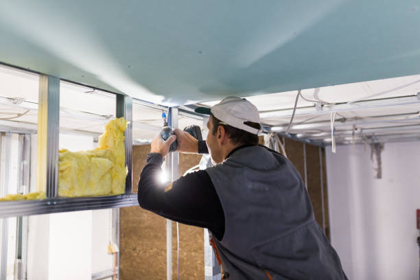 Best Insulation Removal  in Rimersburg, PA
