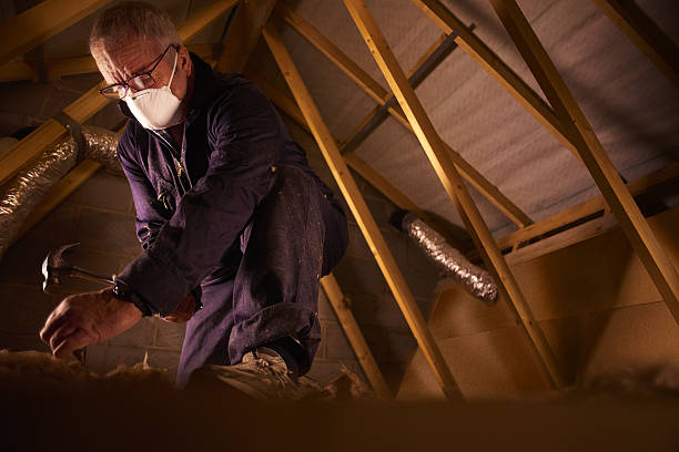 Best Insulation Removal  in Rimersburg, PA