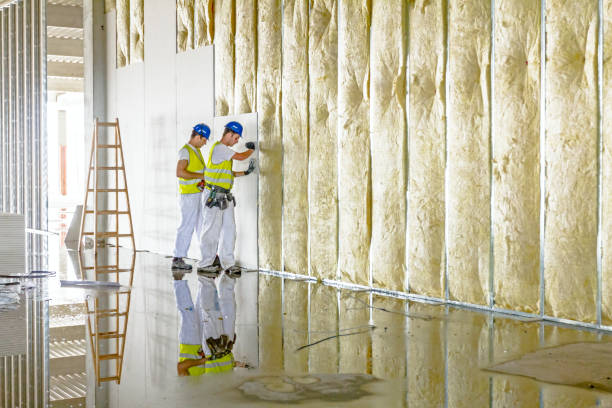 Best Insulation Replacement Services  in Rimersburg, PA